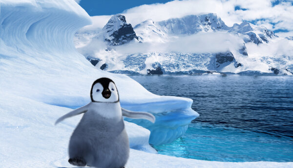 14 września: "Happy Feet: Tupot małych stóp"